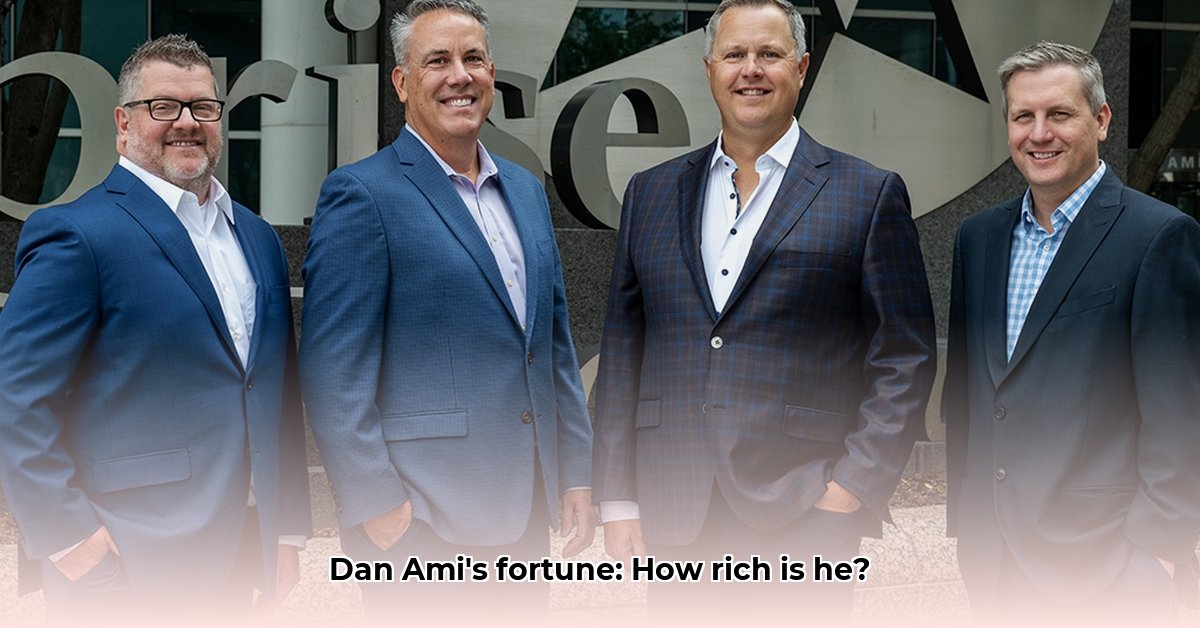 dan-ami-net-worth